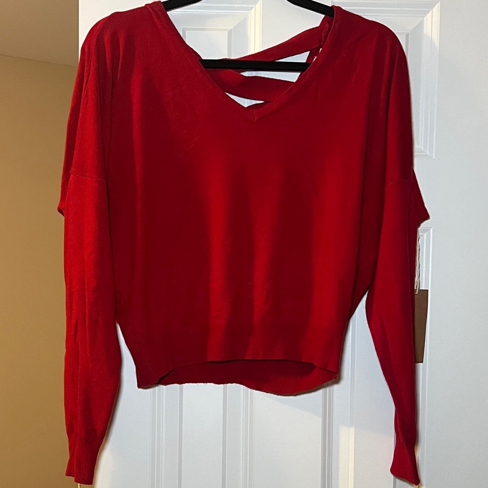 Red, Light Weight V-Neck Sweater size small